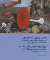 Celf Drwy Lygad Craff/ An Art Accustomed Eye