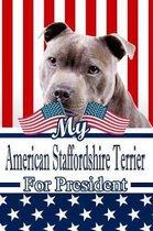 My American Staffordshire Terrier for President