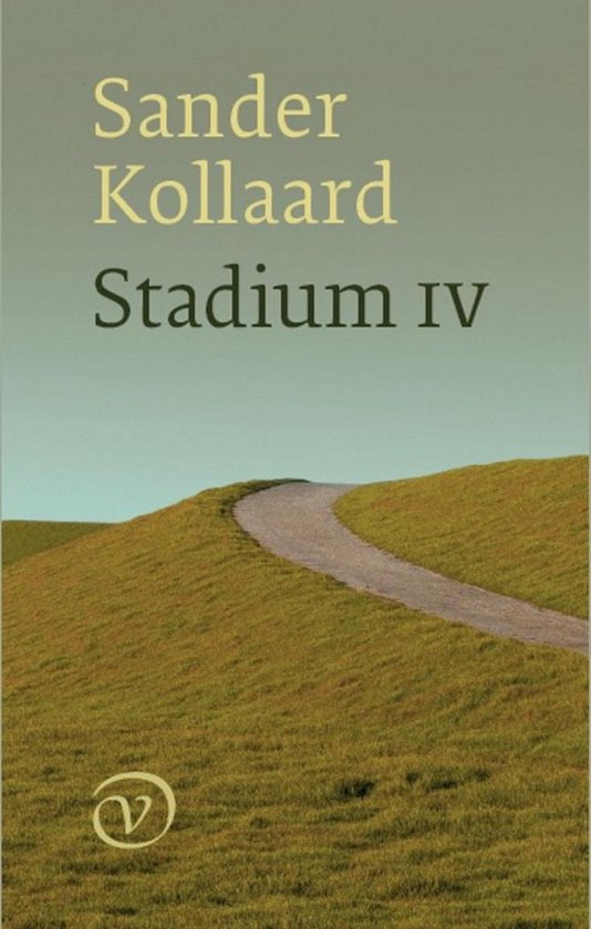 Stadium IV - Sander Kollaard | Respetofundacion.org
