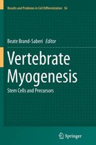 Vertebrate Myogenesis