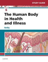 TEST BANK FOR THE HUMAN BODY IN HEALTH AND ILLNESS, 6TH EDITION BY HERLIHY