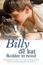 Billy de kat