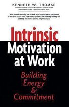 Intrinsic Motivation at Work