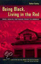Being Black, Living in the Red: Race, Wealth, Social Policy