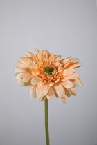 Gerbera - set van 3 Zijden bloem - Kunstbloem - zalm - topkwaliteit - 55cm hoog