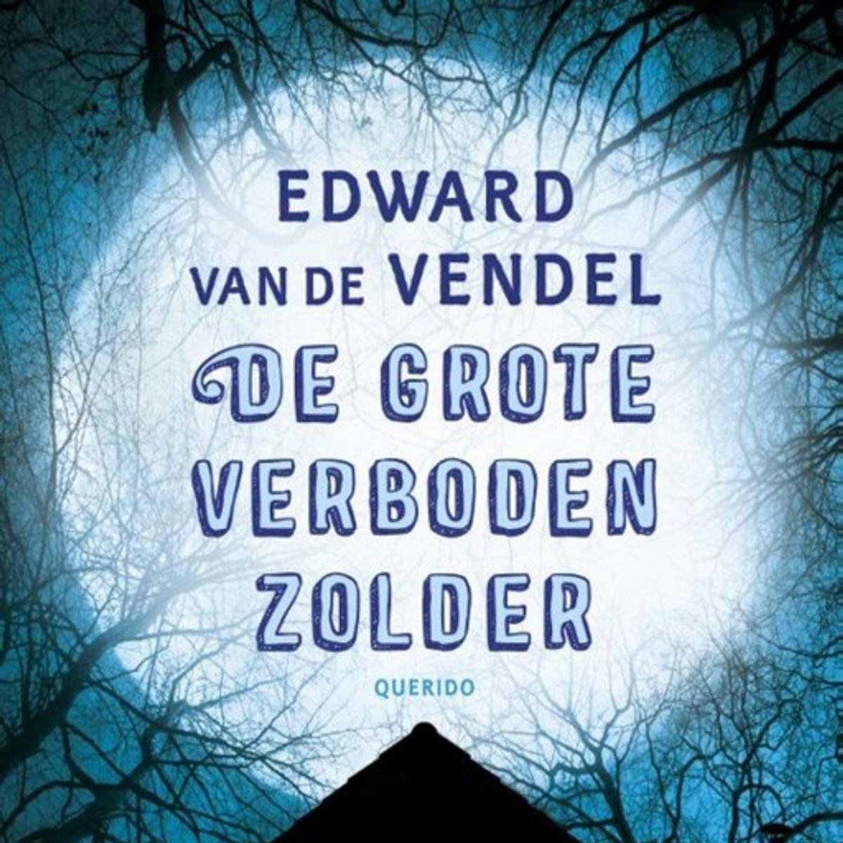 Omslag van De grote verboden zolder