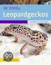 Ihr Hobby Leopardgeckos