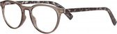 Icon Eyewear RCB350 Figo Leesbril +2.50 - Helder grijs montuur, zwart tortoise pootjes