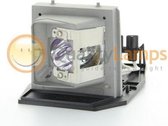 Optoma BL-FP280B / Optoma SP.88E01GC01, Acer EC.J6300.001 Projector Lamp (bevat originele P-VIP lamp)