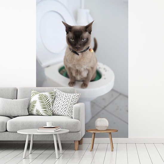 Un chat birman est assis sur les toilettes Papier peint photo en vinyle largeur 190 cm x hauteur 280 cm - Tirage photo sur papier peint (disponible en 7 tailles)