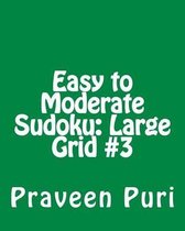 Easy to Moderate Sudoku: Large Grid #3