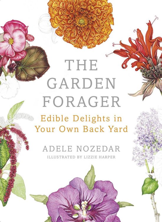 The Garden Forager - cover
