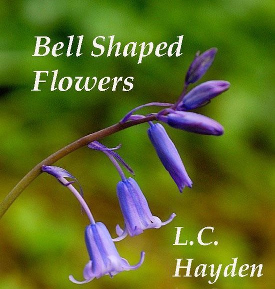 Bell Shaped Flowers - cover