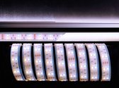 KapegoLED Flexible LED stripe, 5050-2x30-12V-3000K-7000K-3m, warmwhite + coldwhite, constant voltage, 12V DC, 43,20 W, length: 3000 mm, EEC: A, IP67