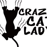 muurstickers - Crazy cat lady - Zwart - sticker - autosticker - 15.2cm x 15.2cm - A158