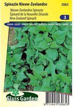 Sluis Garden - Spinach Nouvelle-Zélande