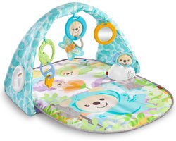 Fisher-Price - Vlinderdromen Gym