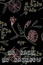 No rain no rainbow