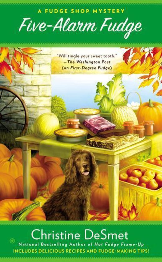 Fudge Shop Mystery 3 FiveAlarm Fudge (ebook), Christine Desmet