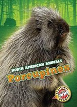North American Animals- Porcupines