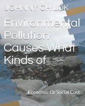 Environmental Pollution Causes What Kinds of