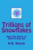 Trillions of Snowflakes