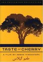 Taste of Cherry (The Criterion Collection)