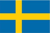 ESPA - Zweedse supporter vlag - Decoratie > Feest spelletjes