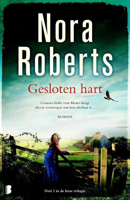Ierse trilogie 2 - Gesloten hart - cover