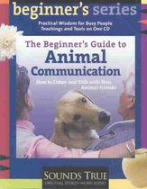 The Beginner's Guide To Animal Communication