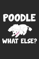 Poodle What Else?