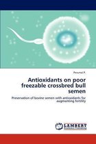 Antioxidants on poor freezable crossbred bull semen