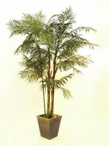 Europalms kunstplant - Vredespalm - Cycas Tube kunstpalm - 280cm - in pot