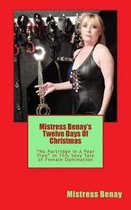 Mistress Benay's Twelve Days Of Christmas