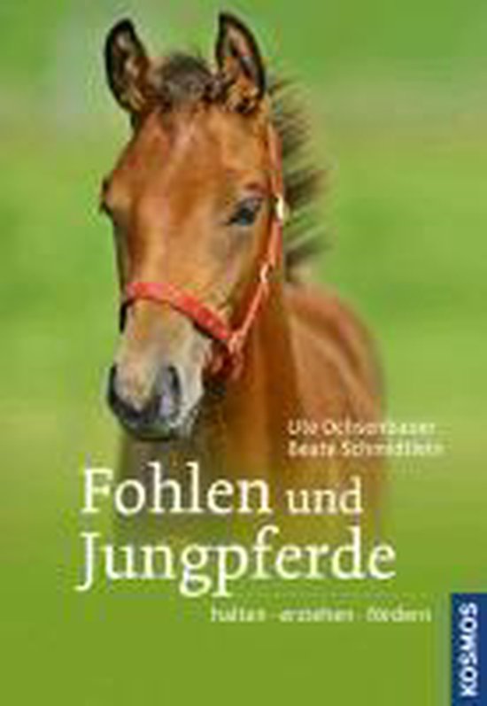 Fohlen und Jungpferde - cover