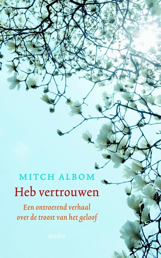 Cover van het boek 'Heb vertrouwen' van M. Albom