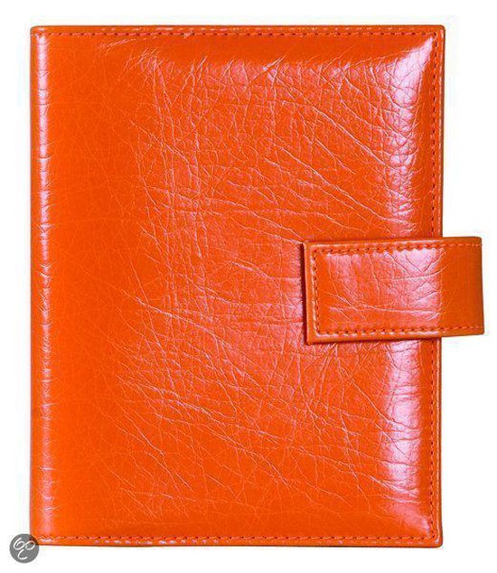 Cover van het boek 'Standard Succes Agenda, Basic plus orange'