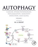Autophagy: Cancer, Other Pathologies, Inflammation, Immunity