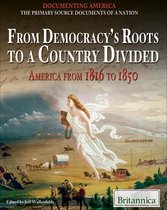 From Democracy's Roots to a Country Divided