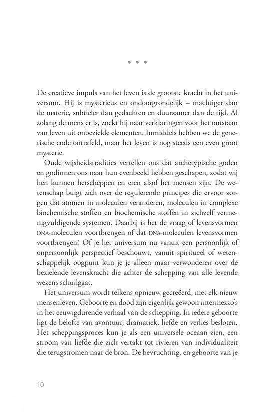 De negen magische maanden
