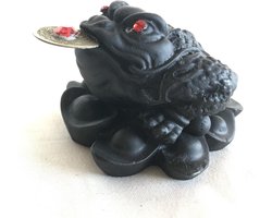 Feng Shui Yuan Bao kikker met munt zwart 6.5x7x5cm