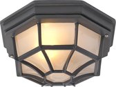 Bol.com QAZQA bri - Landelijke Plafondlamp voor buiten - 1 lichts - Ø 265 mm - Donkergrijs - Buitenverlichting aanbieding