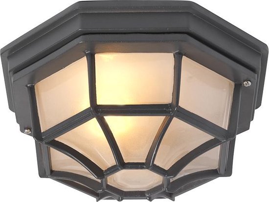 QAZQA bri - Landelijke Plafondlamp voor buiten - 1 lichts - Ø 265 mm - Donkergrijs - Buitenverlichting