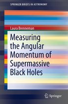 SpringerBriefs in Astronomy - Measuring the Angular Momentum of Supermassive Black Holes