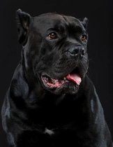 Cane Corso Notebook