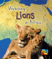 Lions in Africa