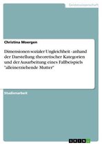 Dimensionen sozialer Ungleichheit - anhand der Darstellung theoretischer Kategorien und der Ausarbeitung eines Fallbeispiels 'alleinerziehende Mutter'