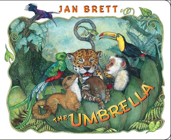 Bol Com The Umbrella Ebook Jan Brett 9780698180376 Boeken