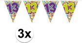 3x Mini vlaggenlijn / slinger - verjaardag 13 jaar - 300 cm