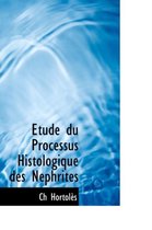 Tude Du Processus Histologique Des N Phrites